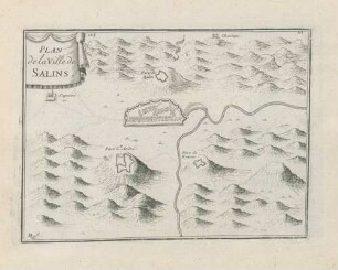 Plan de la Ville de Salins