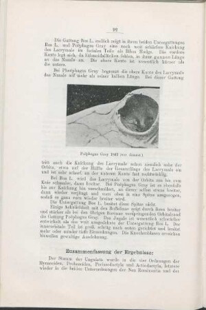 Zusammenfassung der Ergebnisse: