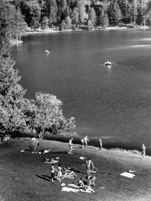 Österreich. Ferienidylle an einem Waldsee in Tirol