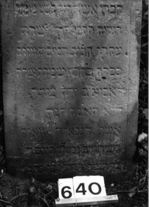 Grabstein 640 (Index: 99802943) Material: Sandstein Zustand: leicht verwittert/Textverlust Maße HxBxT: 98x50x10 cm Beschreibung: Stele mit eingezogenem Rundbogen und Seitenakroterien Besonderheit: Endreim: Grabstein 640 (Detailaufnahme)