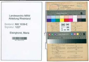 Entnazifizierung Maria Elsinghorst , geb. 12.09.1894 (Lehrerin)