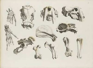 Kupfertafel II