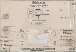 Arbeitsverfahren bei der Maiskolbenernte (Pflück-Drescher)