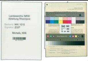 Entnazifizierung Willi Michels , geb. 20.08.1901 (Stadtinspektor)