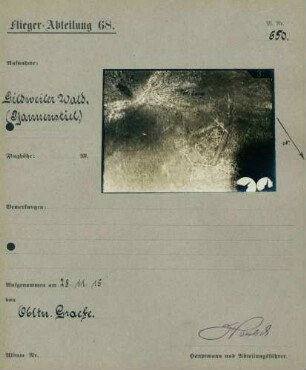 Foto des Gildweiler Waldes (Pfannenstiel) (Luftbild)