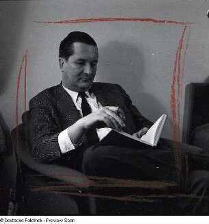 Portraitserie William Styron