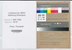 Entnazifizierung Theobald Preis, geb. 09.09.1894 (Beamter)