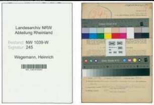 Entnazifizierung Heinrich Wegemann , geb. 03.01.1903 (Landesinspektor)