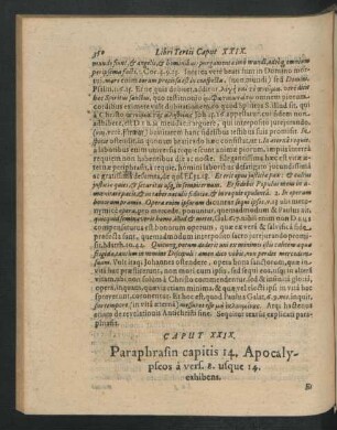 Caput XXIX. Paraphrasin capitis 14. Apocalypseos a vers. 8. usque 14. exhibens.