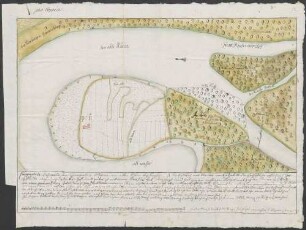 Conographica Delineatio der sogenanten Scharau: am alten Rhein bey Roxheim