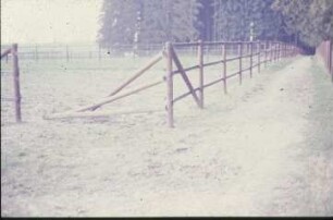 Fotografie: Pferdehaltung, Auslauf