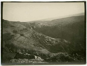 Tal v. dana v. N II