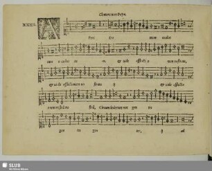 XXII. [=XXIII.] Clemens non Papa, Jacobus: Aperi Domine oculos tuos