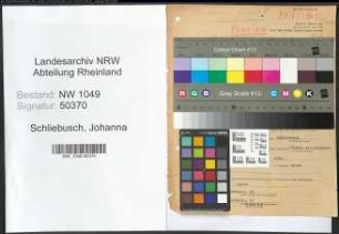 Entnazifizierung Johanna Schliebusch , geb. 22.06.1893 ()