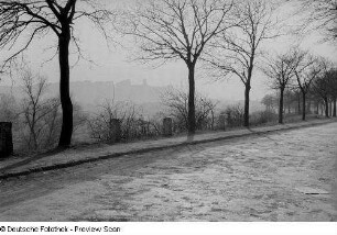 Eine mit Bäumen gesäumte Straße, vermutlich in Thüringen