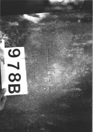 Grabstein 978 (Index: 99899523) Material: Sandstein Zustand: teilweise stark verwittert Maße HxBxT: 188x66x32 cm Beschreibung: aufgesockelte Stele mit Giebelaufsatz, Eckakroterien, Giebelfeld mit Akanthus Symbolik: Akanthus: Grabstein 978B