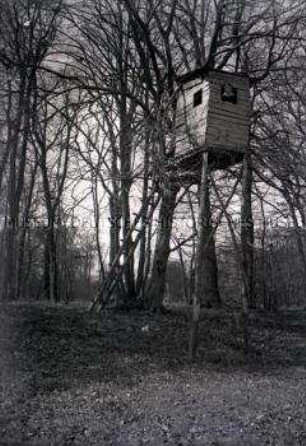 Wandervogelbewegung, Hochstand im Wald