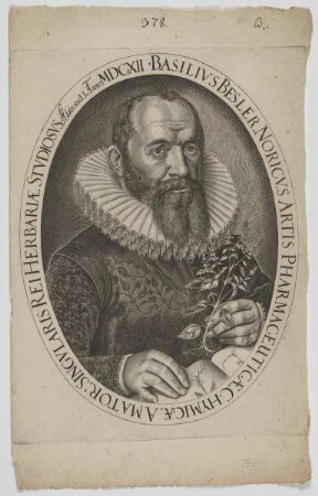 Bildnis des Basilius Besler
