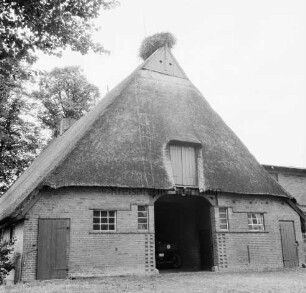 Bauernhaus an Dorfstraße: Blick auf Giebelwand mit Scheunentor: Storchennest auf Dachfirst: links Bäume