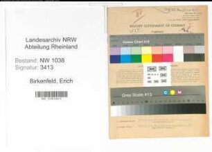 Entnazifizierung Erich Birkenfeld , geb. 01.01.1899 (Hotelier)