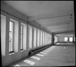 Warburg: Konservenfabrik, Innenraum, Fensterfront