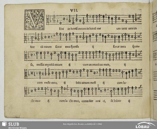 VII Veni in hortum meum