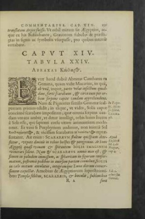 Caput XIV. Tabula XXIV.
