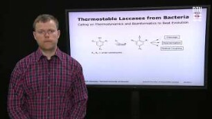 Thermostable Laccases from Bacteria
