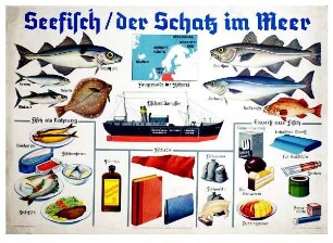 Seefisch/der Schatz im Meer