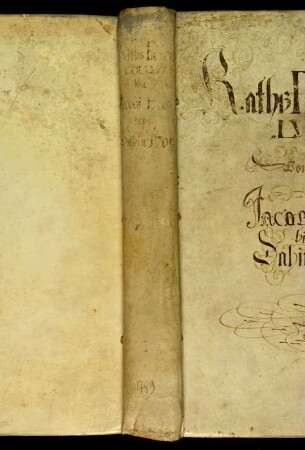 Ratsprotokolle, 1708 Juli 31. - 1709 Juli 9.