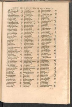 Index Legum Sub Rubr.
