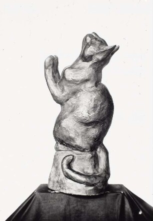 Katze, sich aufrichtend