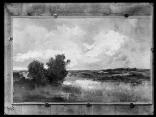Uferlandschaft