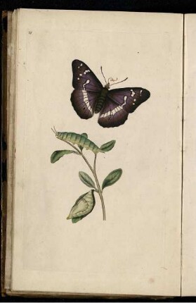 Pl. 37 [bis] Pl. 40 [Pl. siehe arbabische Paginierung]