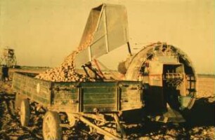 Fotografie: Erntetechnik, Kartoffel, Kartoffelvollernter, Transport, Zweiachsanhänger