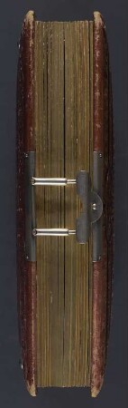 Familienalbum : Familienalbum. Ledereinband, geprägt, Goldschnitt und -prägung, Metallschließe; 30 x 24 x 7,5 cm (um 1890). Dresden: SLUB/DF 2019.C.133