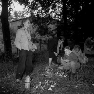 Familie beim Pilze sammeln, wohl bei Frankfurt (Main)