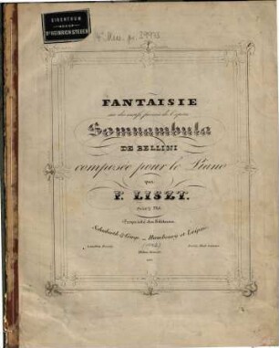 Fantaisie sur des motifs favoris de l'opéra Somnambula de Bellini : comp. pour le piano ; (1842)
