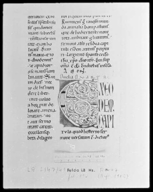 Bernhard von Clairvaux, Sermones in Cantitum Canticorum — Initiale E (xeo), Folio 11 verso