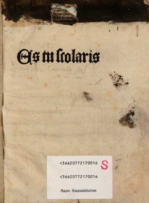 Es tu scolaris?