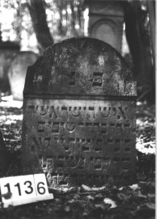 Grabstein 1136 (Index: 99899835) Material: Samdstein Zustand: leicht angewittert, eingesunken Maße HxBxT: 75x56x11 cm Beschreibung: Stele mit Konvexbogenabschluss, eingesunken Besonderheit: vermutete Identifizierung nach Gräberverzeichnis und Sterberegister: Grabstein 1136