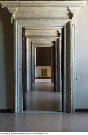 Palazzo Cesi, Piano nobile