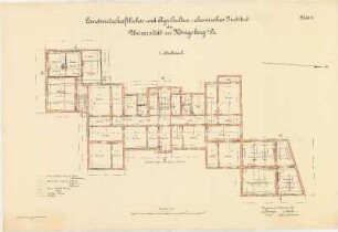 Landwirtschaftliches und Agrikultur-chemisches Institut der Albertus-Universität Königsberg: Blatt 3, 1. Stockwerk