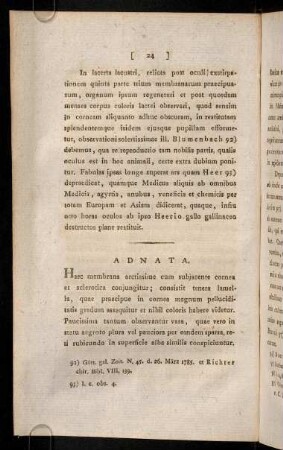 24-39, Adnata. Cornea.