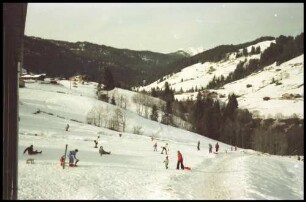 Habkern: Skifahrer am Hang