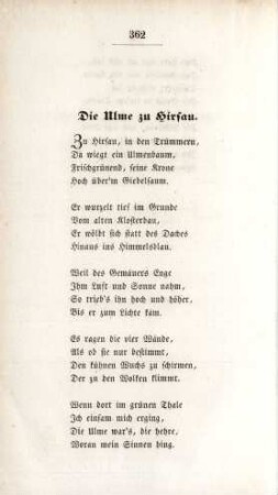 Die Ulme zu Hirsau.