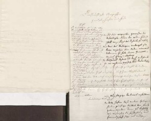 Karoline Luise von Baden an Friedrich Ferdinand von Pappenheim (ohne Ort)