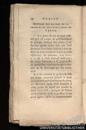 Histoire des racines de la canne et de ses productions en terre