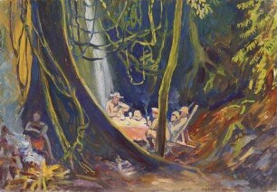 Urwaldschlucht bei Bamenda : Hinterland von Kamerun