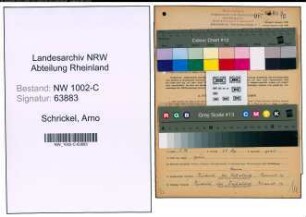 Entnazifizierung Arno Schrickel, geb. 10.05.1894 (Vertreter)